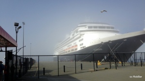 ms Zaandam ( fog lifting )